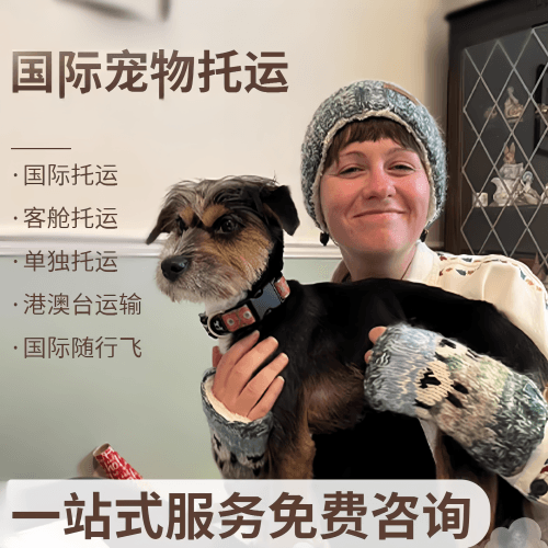 喀什地区国际宠物托运到阿根廷宠物入境规定和要
