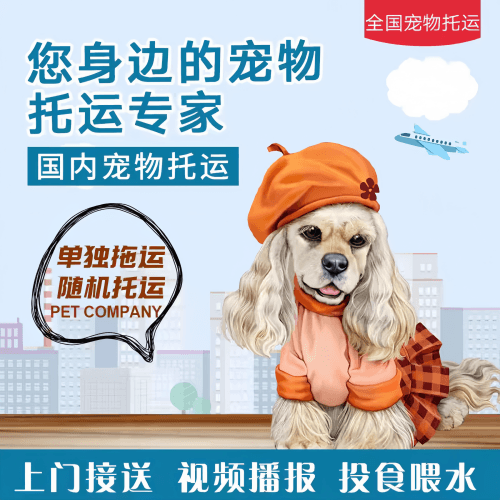 满财喀什地区宠物全球达宠物托运作为专业的宠物运输代理机构